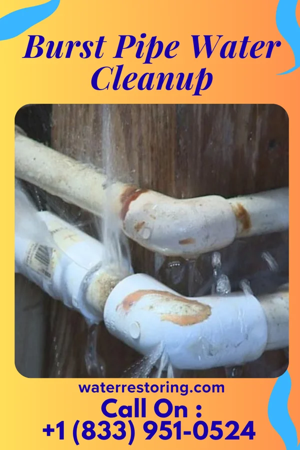 Burst Pipe Water Cleanup in Clarksville, PA