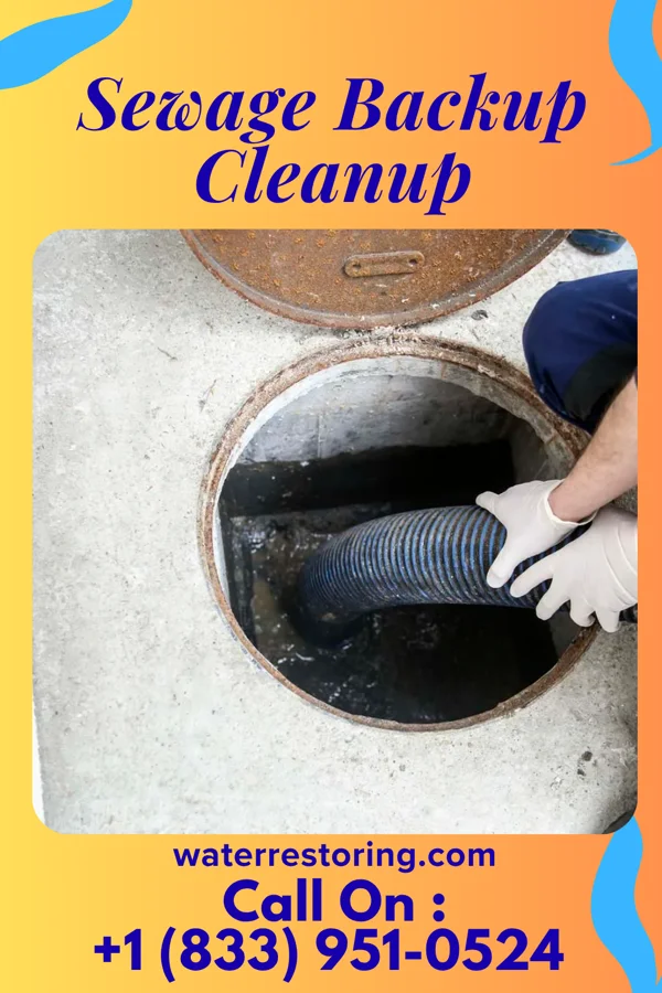Sewage Backup Cleanup in Clarksville, PA