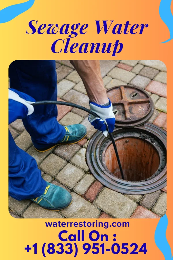 Sewage Water Cleanup in Clarksville, PA